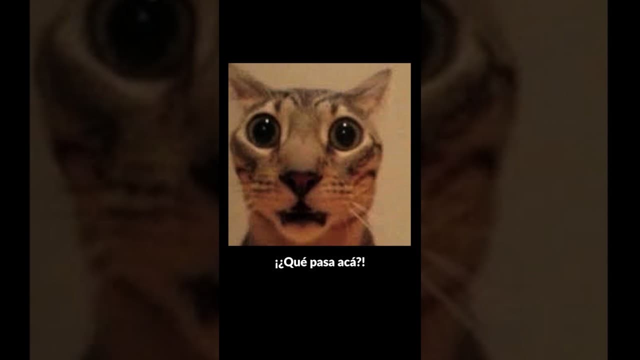 ES TODO MENTIRA!!?