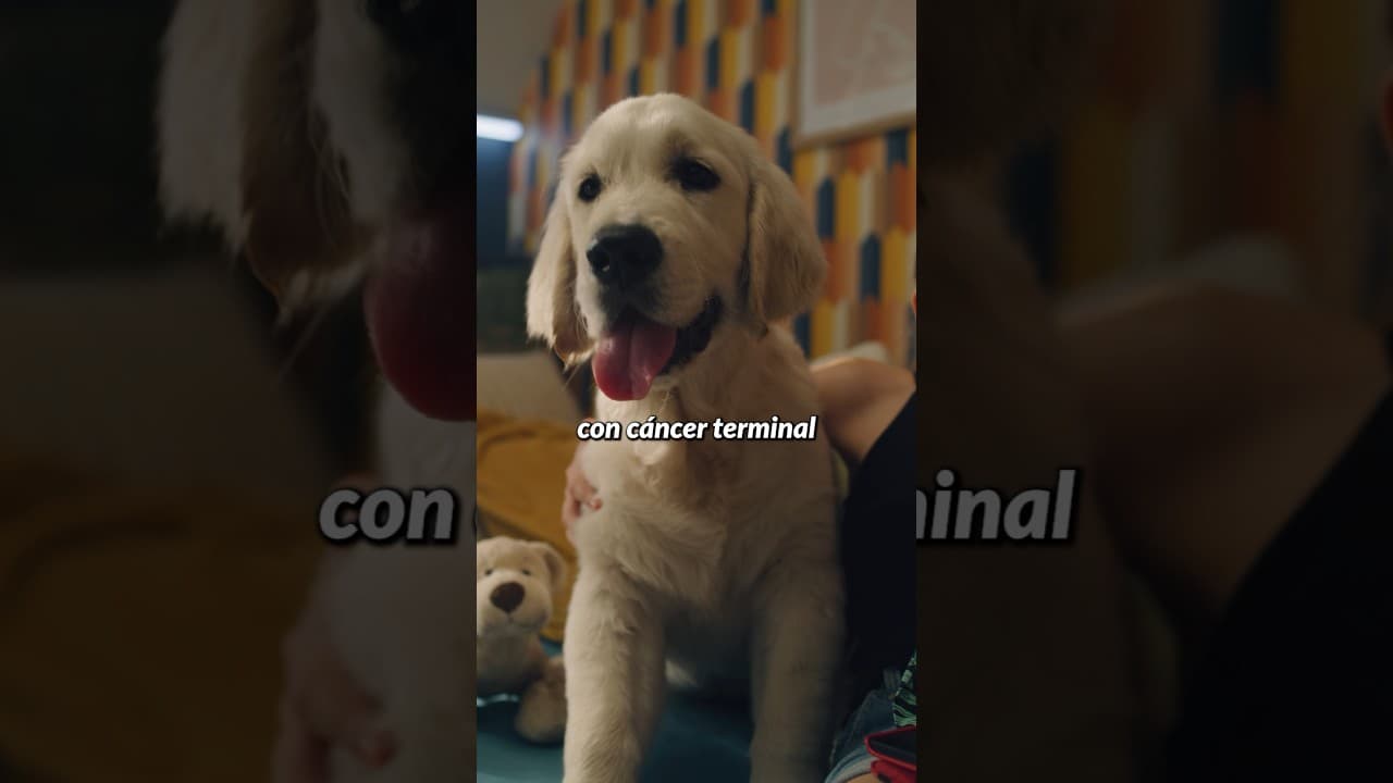 ESTÁ BIEN PERRO!!!