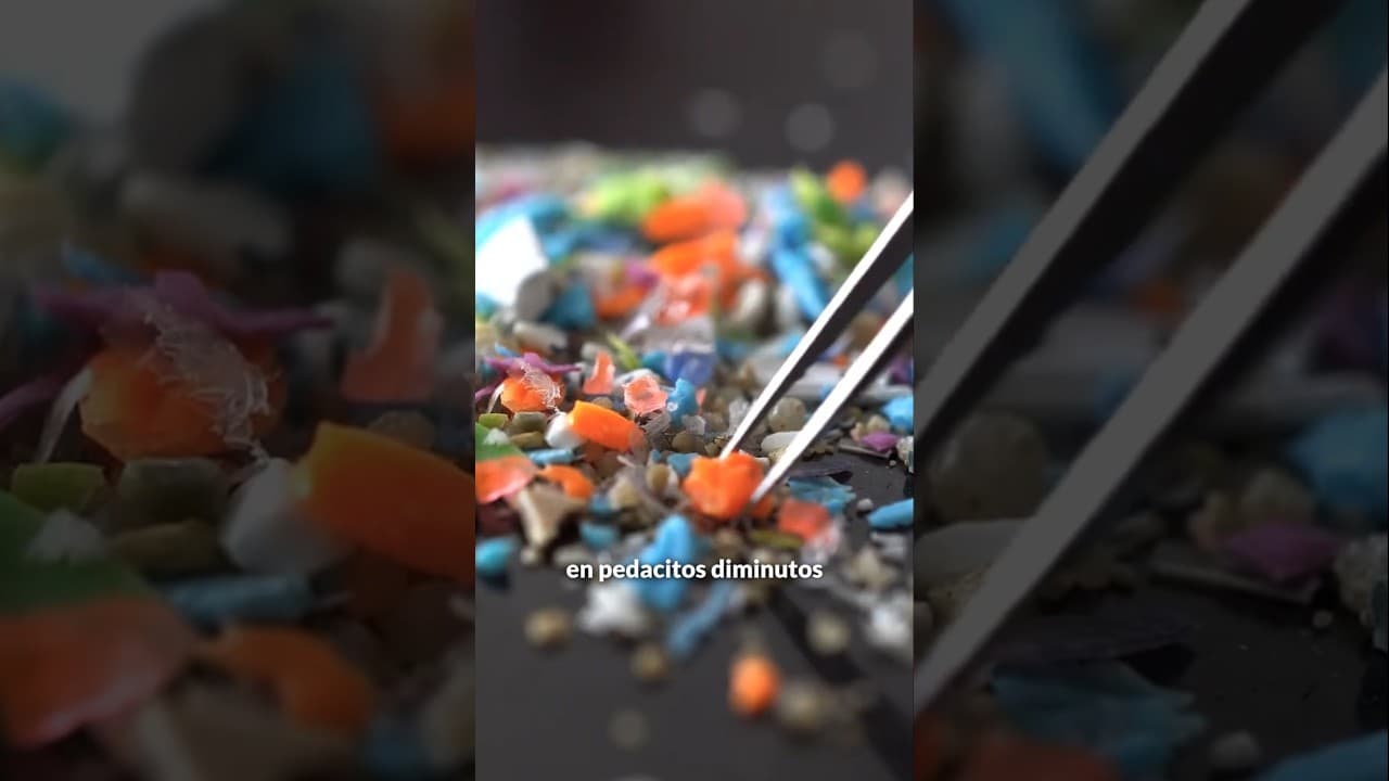 A COMER PLÁSTICO!!!